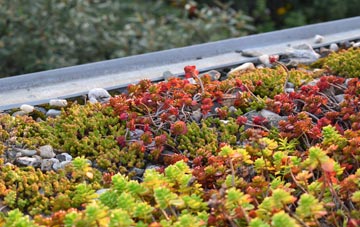 the cost of Staythorpe green roof installation