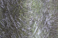 Staythorpe fibreglass roof work